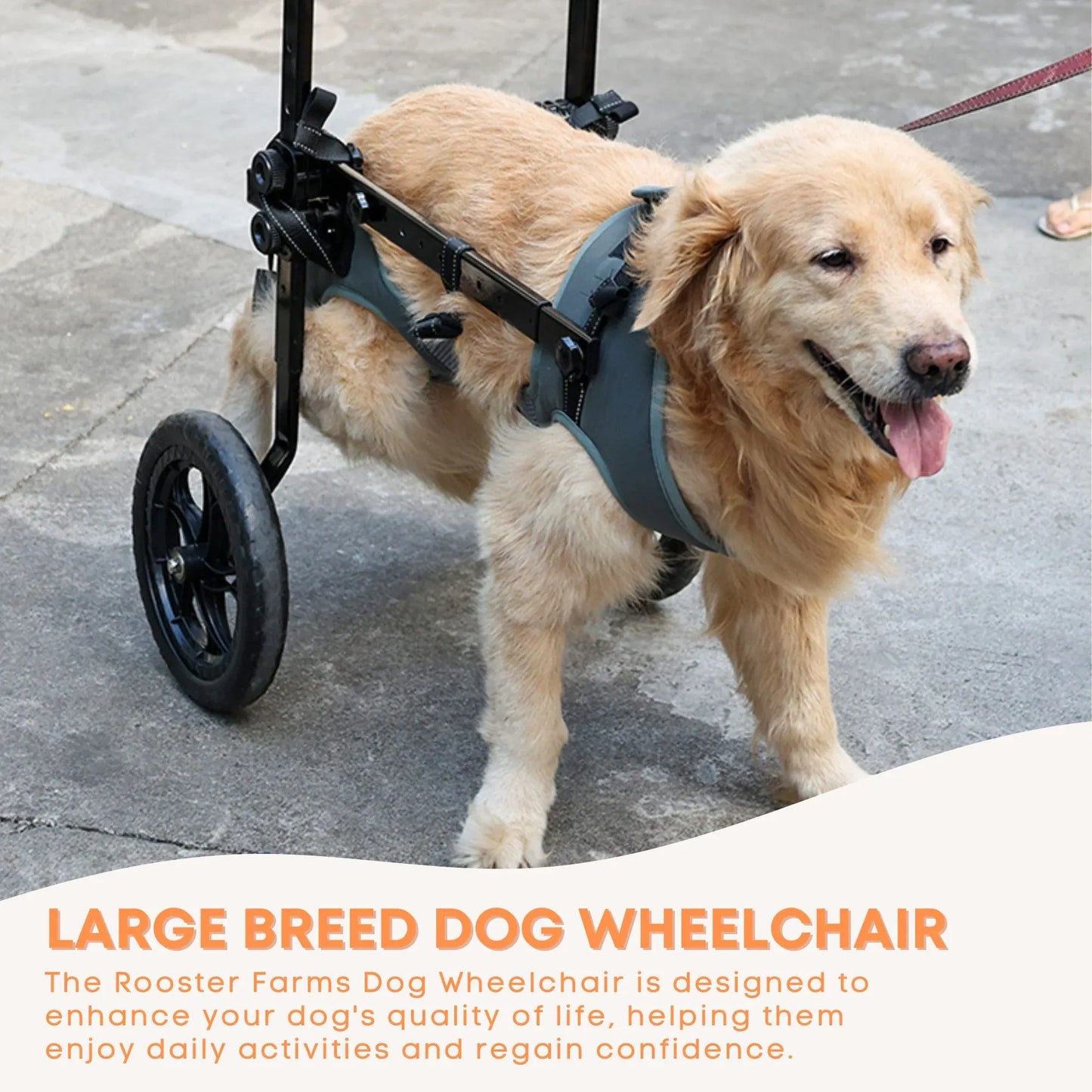 Rooster Farms Large Dog Wheelchair XXL Harness - Adjustable Back Leg Aid - view 5