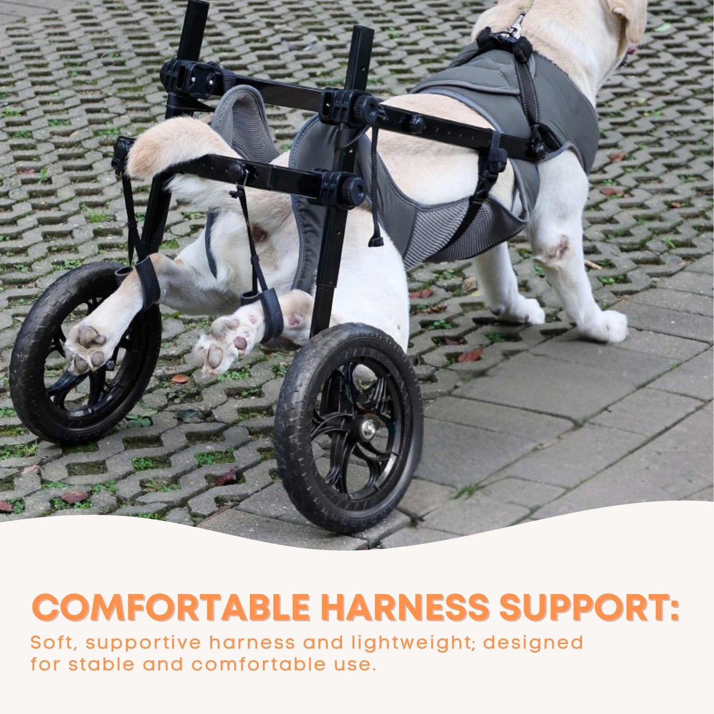 Rooster Farms Large Dog Wheelchair XXL Harness - Adjustable Back Leg Aid - view 9