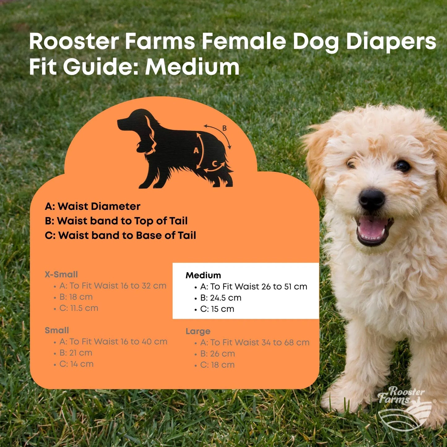 Rooster Farms Female Dog Diapers Medium 3Pk - Washable Reusable Nappy Hook/Loop - view 9