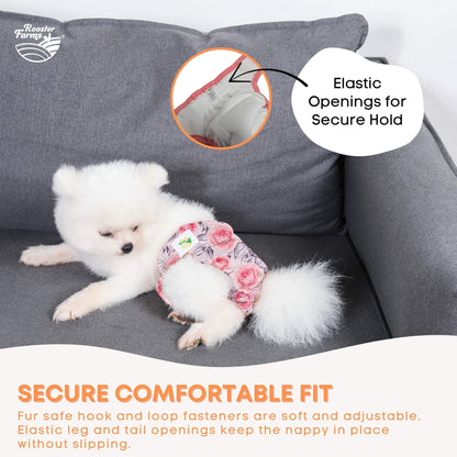Rooster Farms Female Dog Diapers Large 3Pk - Washable Reusable Nappies Hook/Loop - view 3