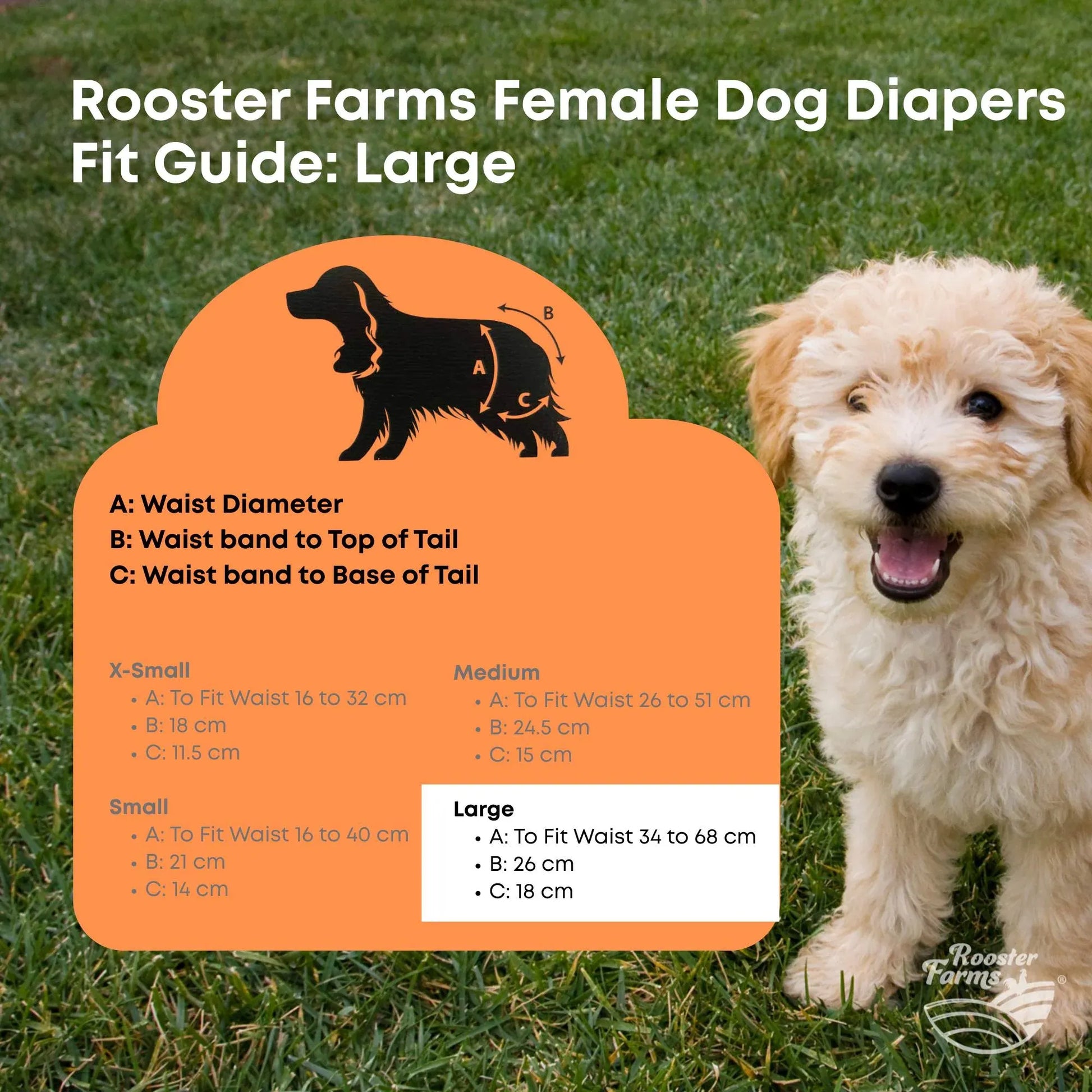 Rooster Farms Female Dog Diapers Large 3Pk - Washable Reusable Nappies Hook/Loop - view 9