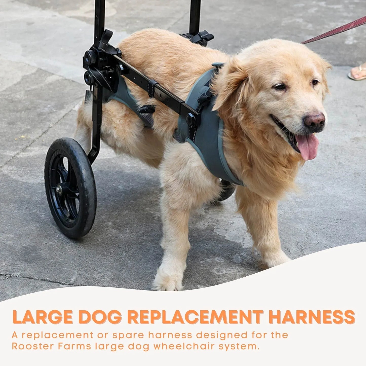 Rooster Farms Replacement Harness for Dog Wheelchair XXL - Large Dogs Up to 45Kg - view 2