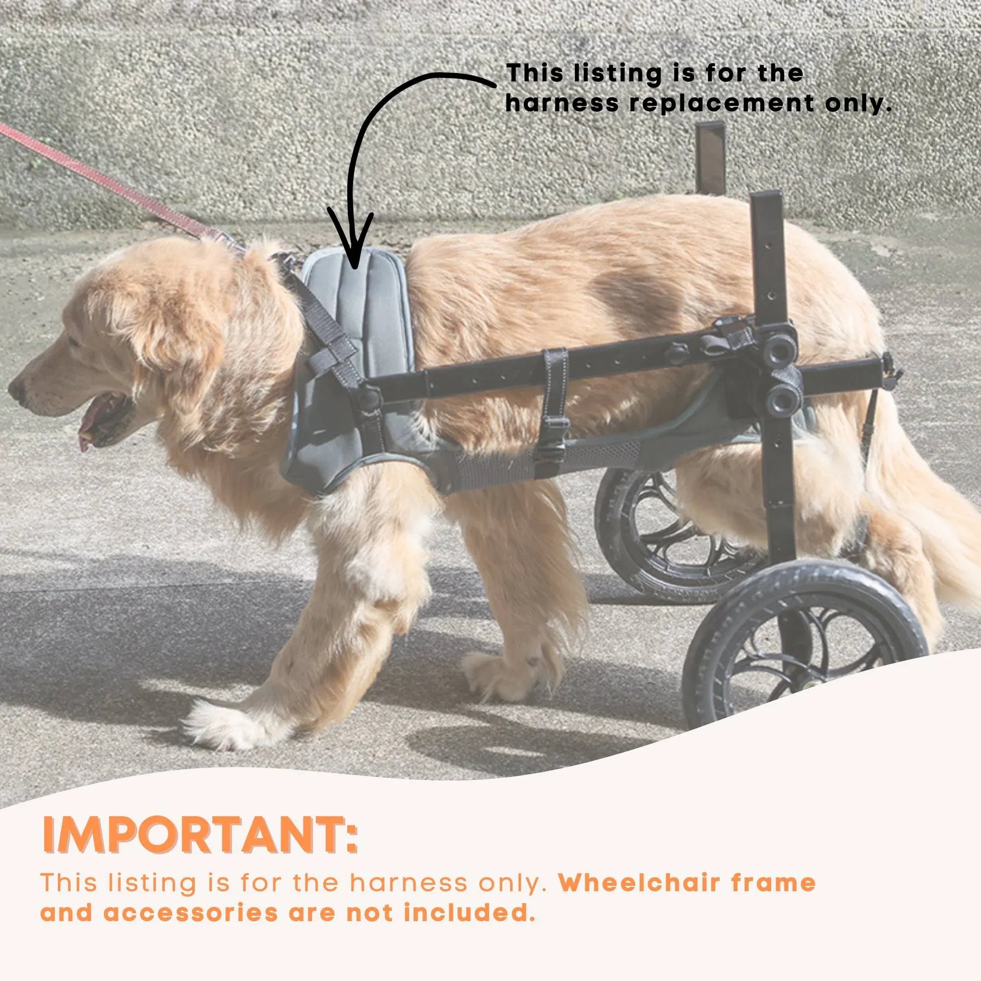 Rooster Farms Replacement Harness for Dog Wheelchair XXL - Large Dogs Up to 45Kg - view 4