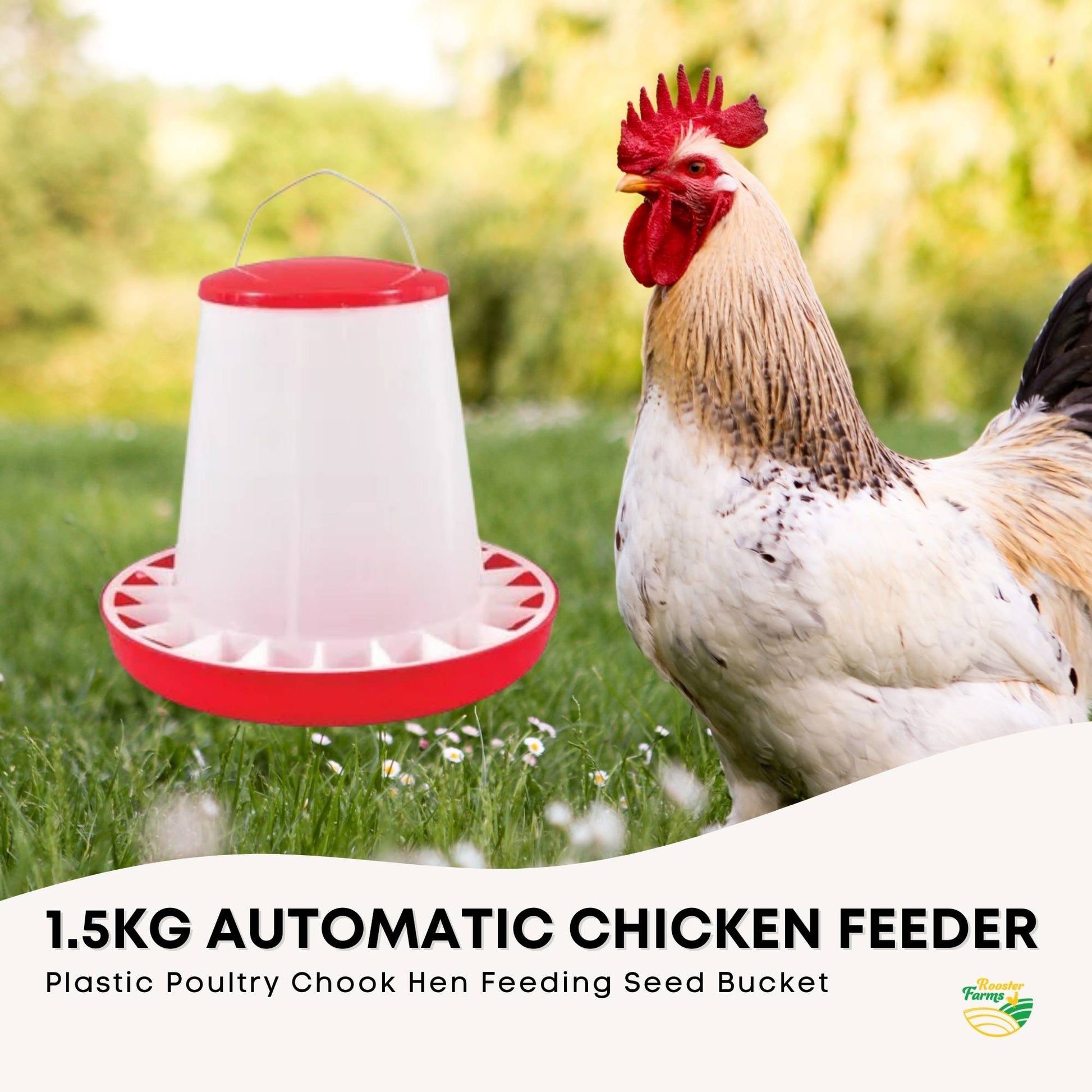 Rooster Farms 1.5Kg Automatic Chicken Feeder - Poultry Hen Feeding Seed Bucket - view 3