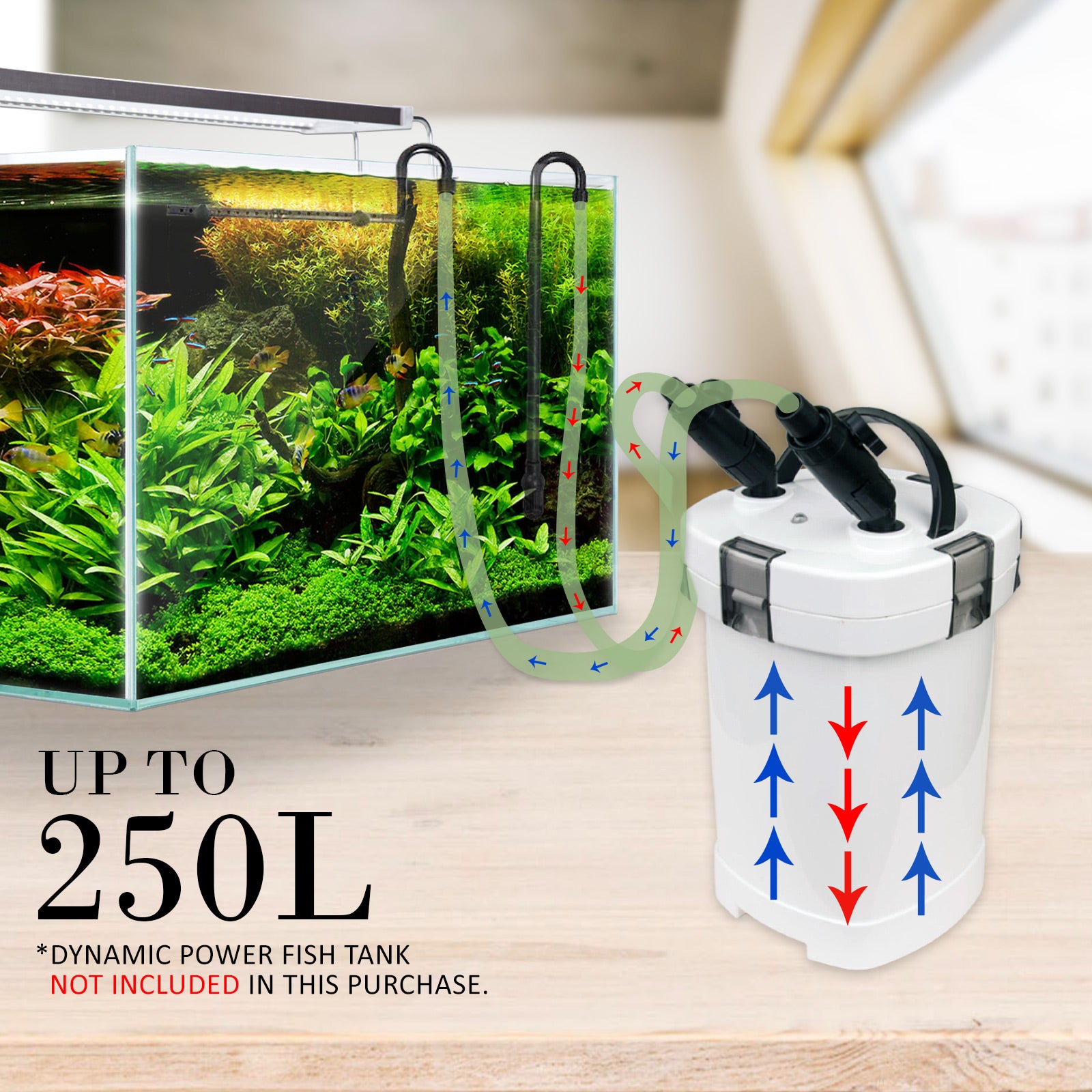 Aquarium External Canister Filter 1000L/H - view 4