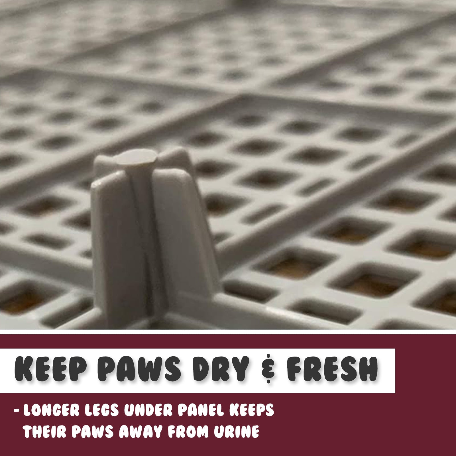 Dog Pet Potty Tray Training Toilet Raised Walls T1 WINE - view 6