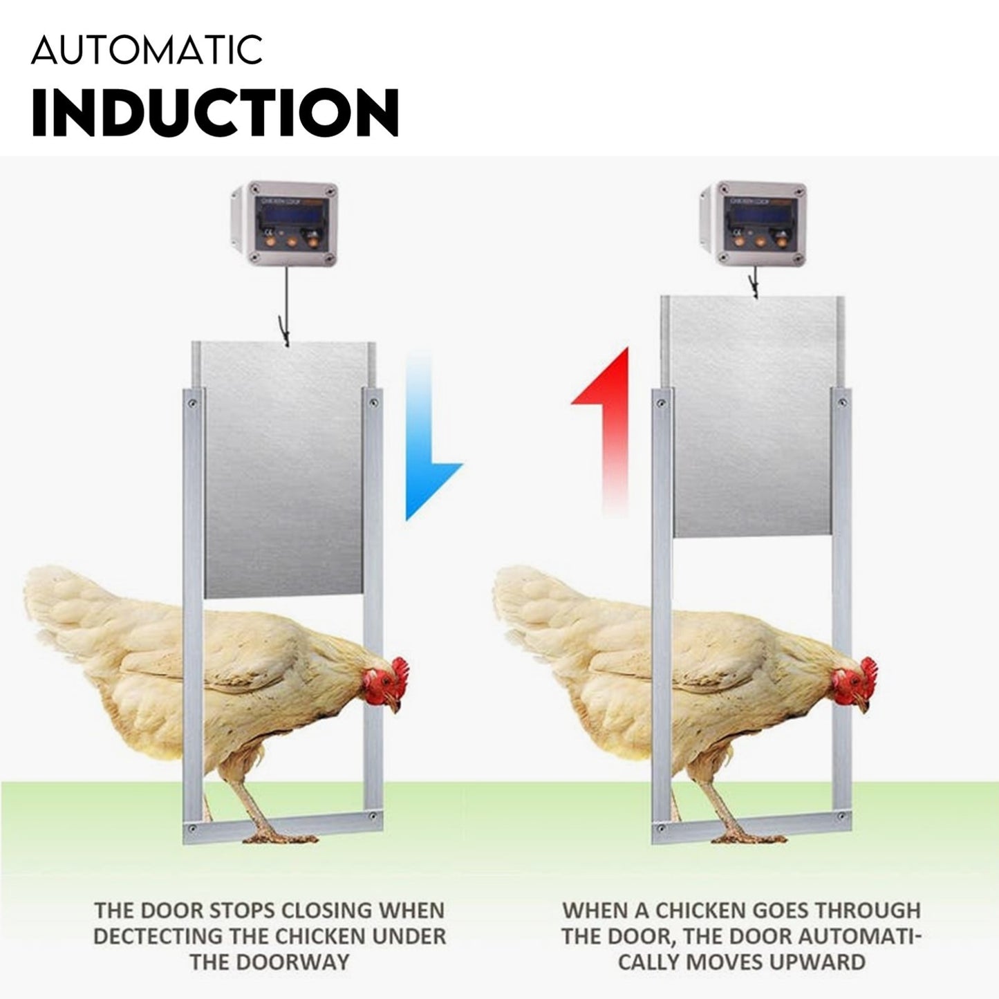 Automatic Chicken Coop Door Opener Cage Closer Timer and Light Sensor - view 5