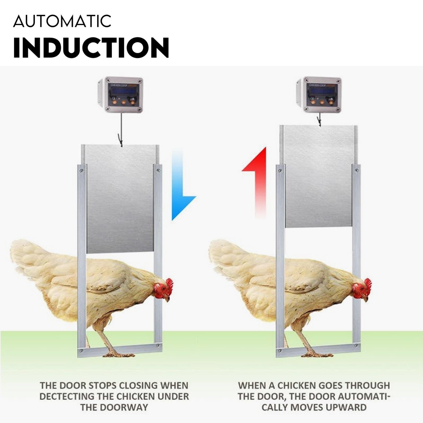 Automatic Chicken Coop Door Opener Cage Closer Timer and Light Sensor - view 5