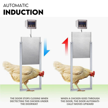 Automatic Chicken Coop Door Opener Cage Closer Timer and Light Sensor - view 5