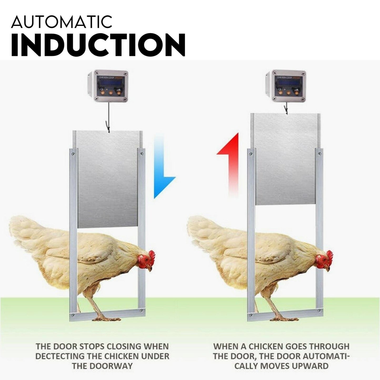 Chicken Coop Door with Digital LCD Screen to manage Timer and Sensor - view 4