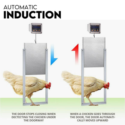 Chicken Coop Door with Digital LCD Screen to manage Timer and Sensor - view 4