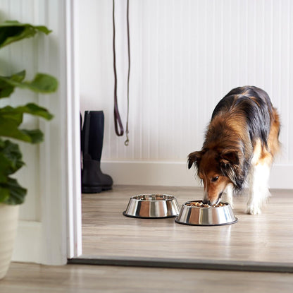 Non Slip Stainless Steel Dog Bowl Pet Cat Water Food Feeder Portable Puppy Dish - Large (500ml) - view 3