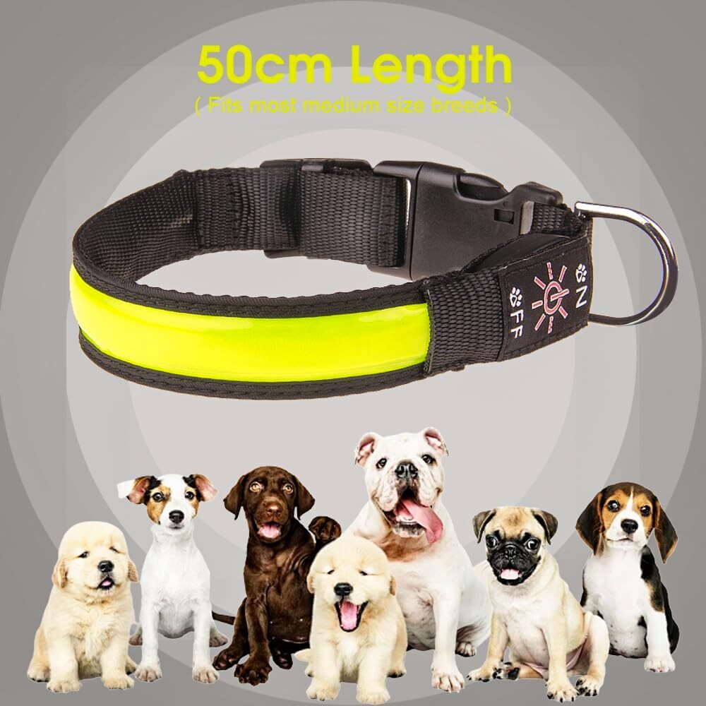 LED Dog Cat Collar USB Rechargeable Nylon Glow Flashing Light Up Safety Puppy - view 4