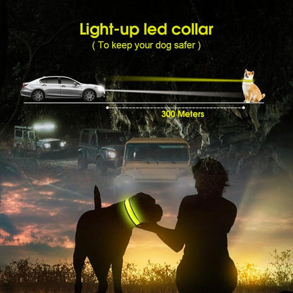 LED Dog Cat Collar USB Rechargeable Nylon Glow Flashing Light Up Safety Puppy - view 5
