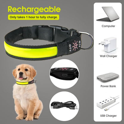 LED Dog Cat Collar USB Rechargeable Nylon Glow Flashing Light Up Safety Puppy - view 6