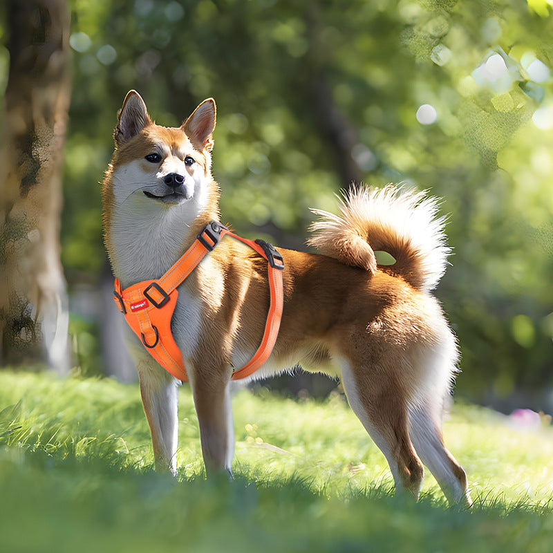 Reflective Dog Harness with Leash, No-Pull Vest Harness for Dogs, Adjustable Dog Vest with Handle, Walking Training Pet Harness L size - view 3