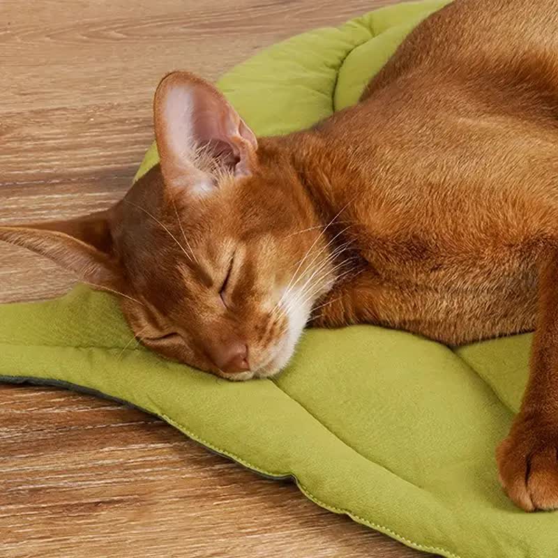 2 Pcs Green Leaf-Shaped Pet Sleeping Mat - Durable Dog Floor Pad & Cat Bed for Sleeping and Playtime - view 4
