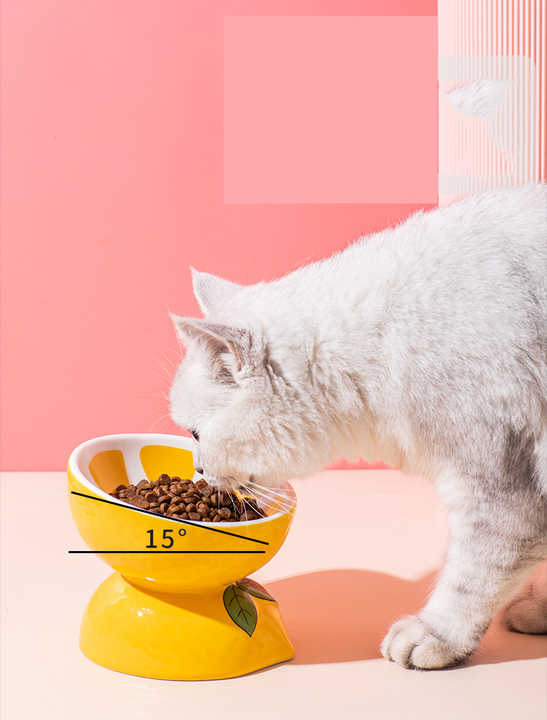 Ceramic Elevated Pet Food Bowl - Cute Pitaya Pattern Design for Cats and Small Dogs - view 3