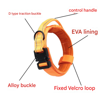 L khaki Hands-Free Dog Leash with Adjustable Waist Belt - Shock Absorbing Bungee Lead - view 3
