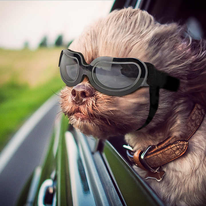 Black Lenses Pet Sunglasses for Dogs and Cats - UV Protection, Adjustable Strap, Anti-Wind and Anti-Fog Pet Goggles - view 5