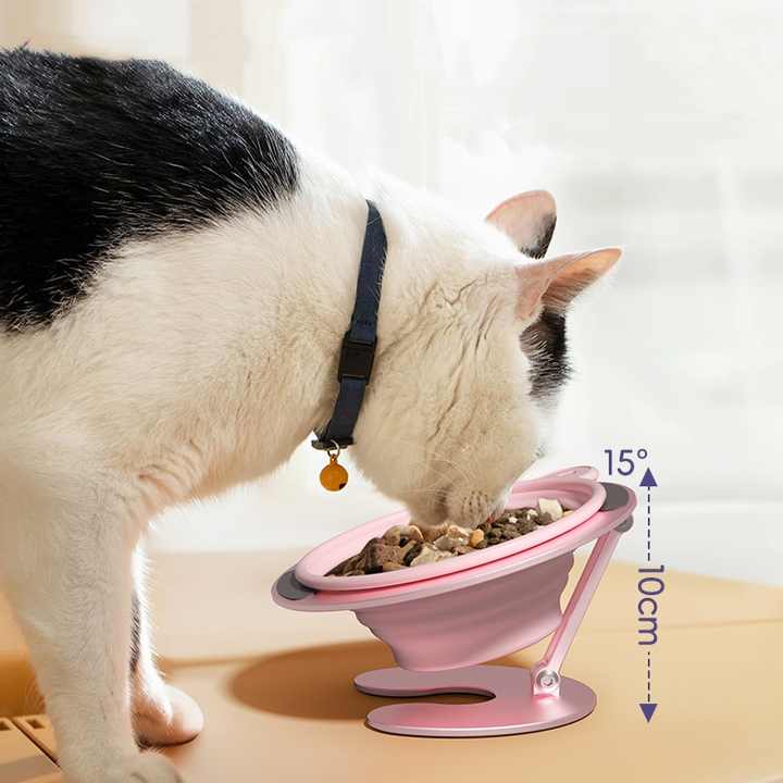 Green Foldable Elevated Pet Bowl Set - Tilted Ergonomic Cat Feeder with Aluminum Stand & Silicone Bowl - view 3