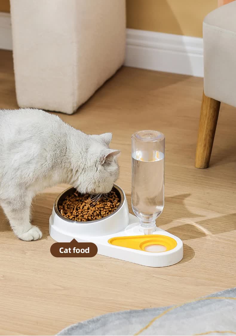 Blue Pet Bowl Set with Automatic Gravity Water Dispenser - Stainless Steel & PP Feeder Station - view 2