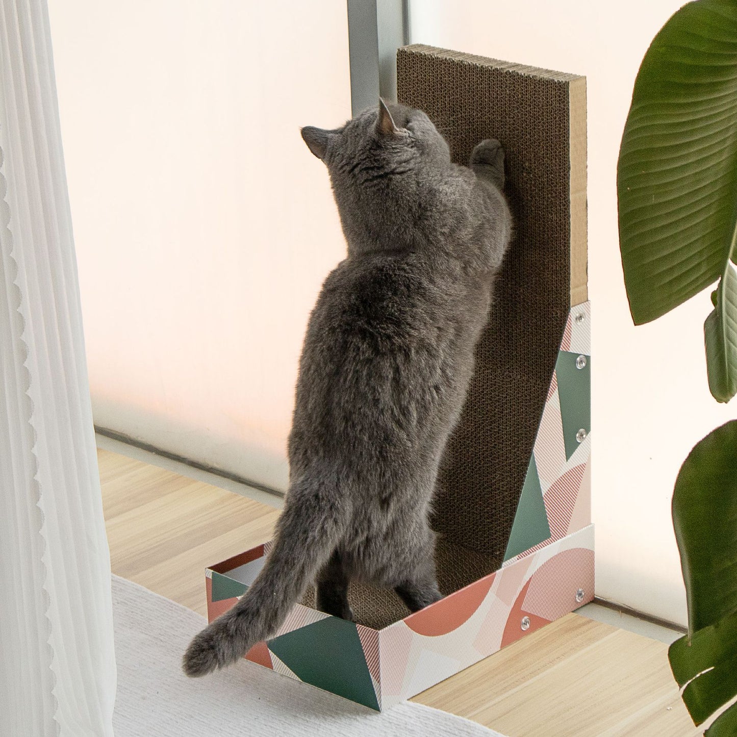 Pop Pattern Cat Scratching Post and Lounge - 350x250x600mm Corrugated Cardboard - view 3