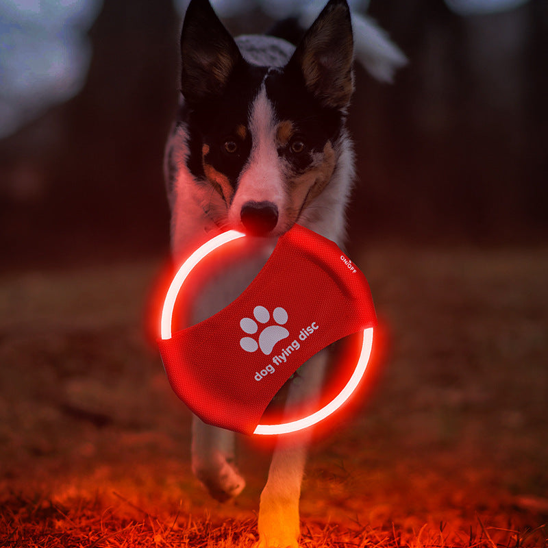 Blue LED Rechargeable Dog Flying Disc - Glow-in-the-Dark Pet Training Toy with Paw Design - view 2