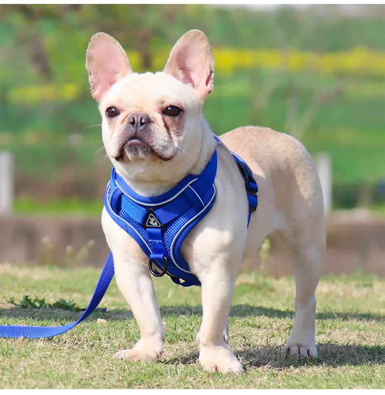 Blue Reflective Mesh Dog Harness and Leash Set - Adjustable No-Pull Vest - S - view 3