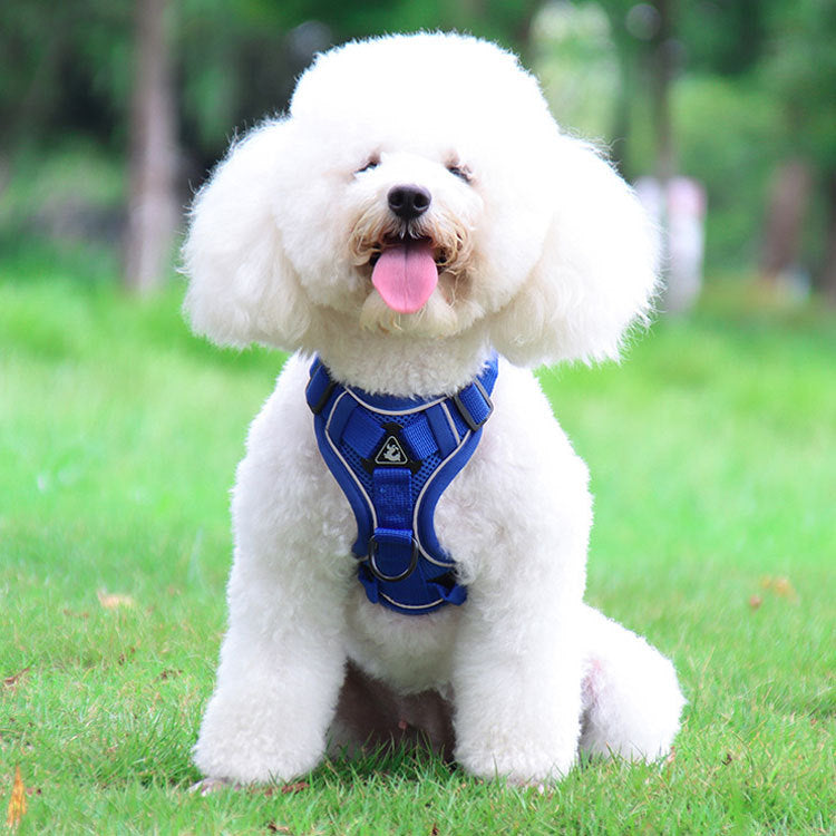 Blue Reflective Mesh Dog Harness and Leash Set - Adjustable No-Pull Vest - M - view 2