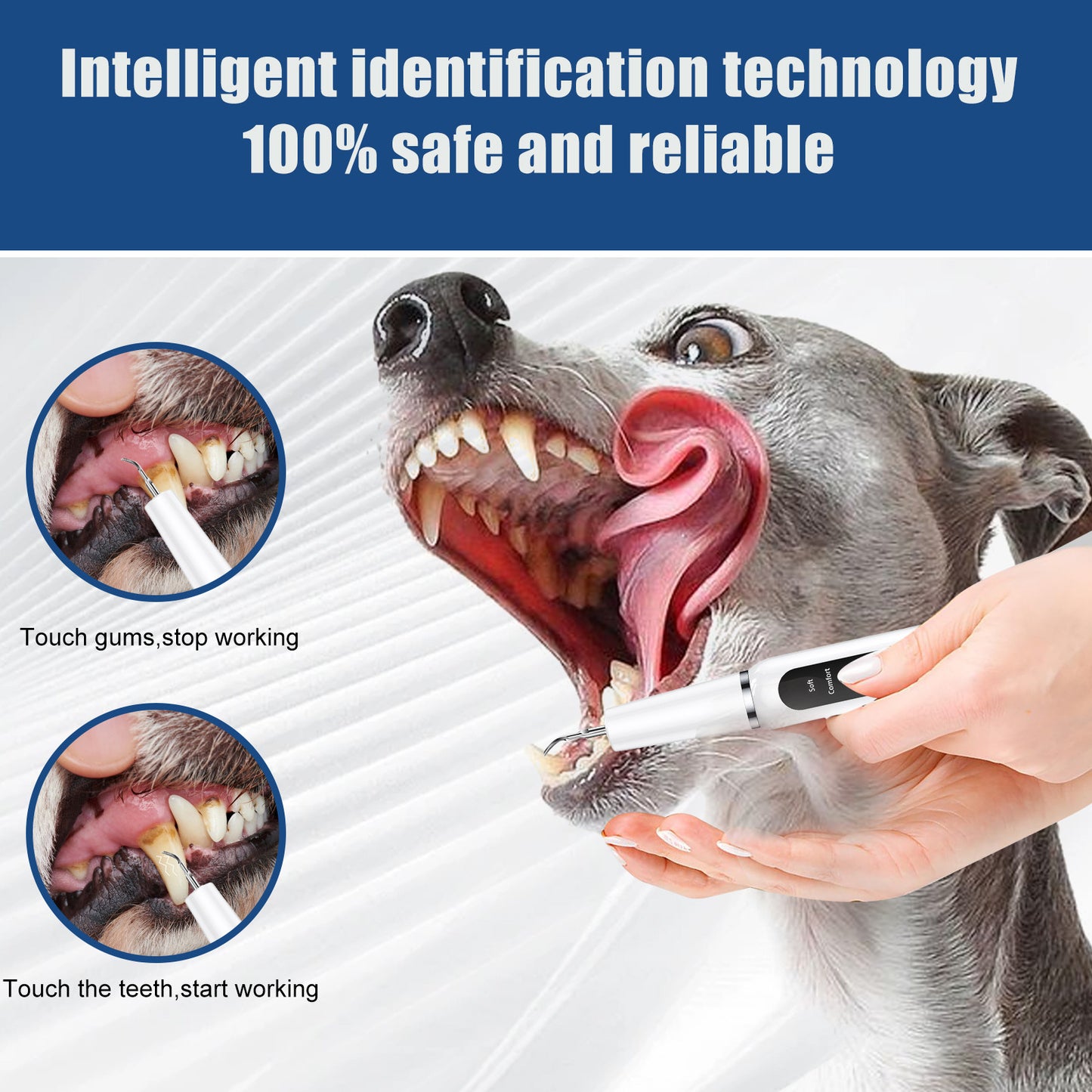 Black Professional Pet Dental Cleaning Kit - Ultrasonic Scaler, Tools & 3 Modes - view 2