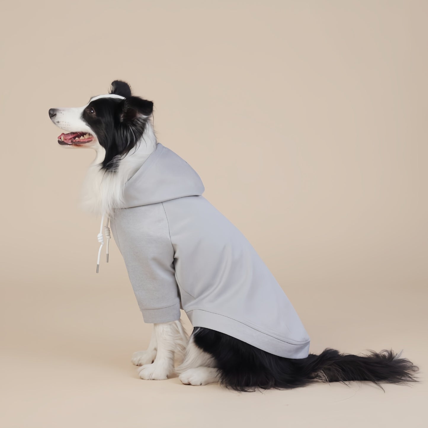 Grey Classic Dog Sweatshirt with Hood & Drawstrings - For Large Dogs (Size : 4XL) - view 2