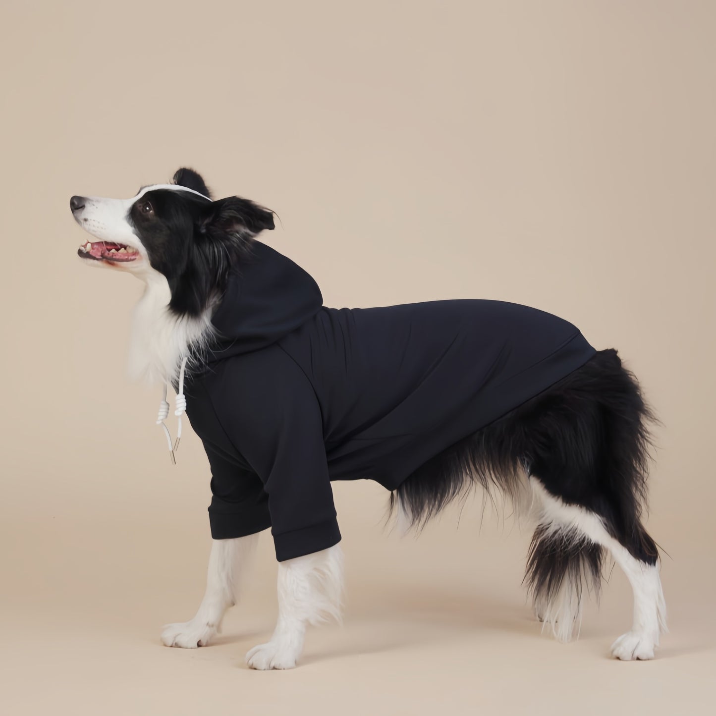 Black Classic Dog Sweatshirt with Hood & Drawstrings - For Large Dogs (Size : 3XL) - view 2