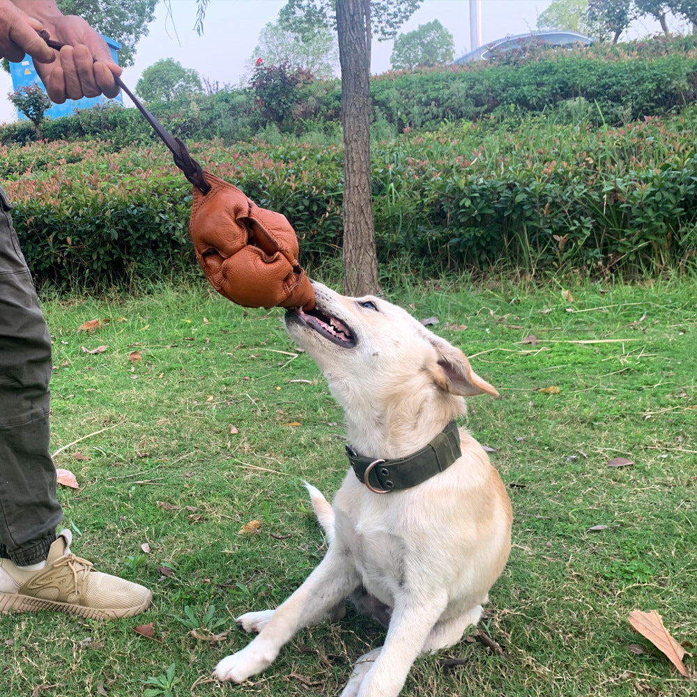 Red Durable Leather Dog Training Ball with Loop Handle - Interactive Bite & Tug Toy for Playful Pups - view 5