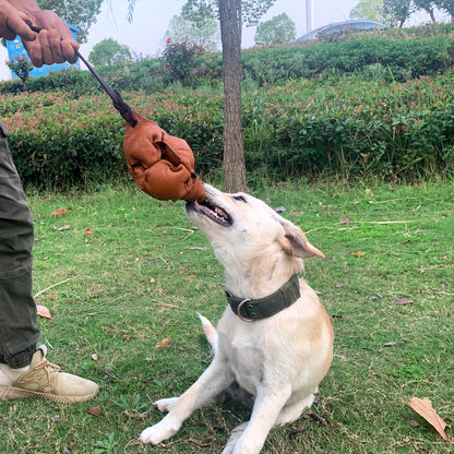 Red Durable Leather Dog Training Ball with Loop Handle - Interactive Bite & Tug Toy for Playful Pups - view 5
