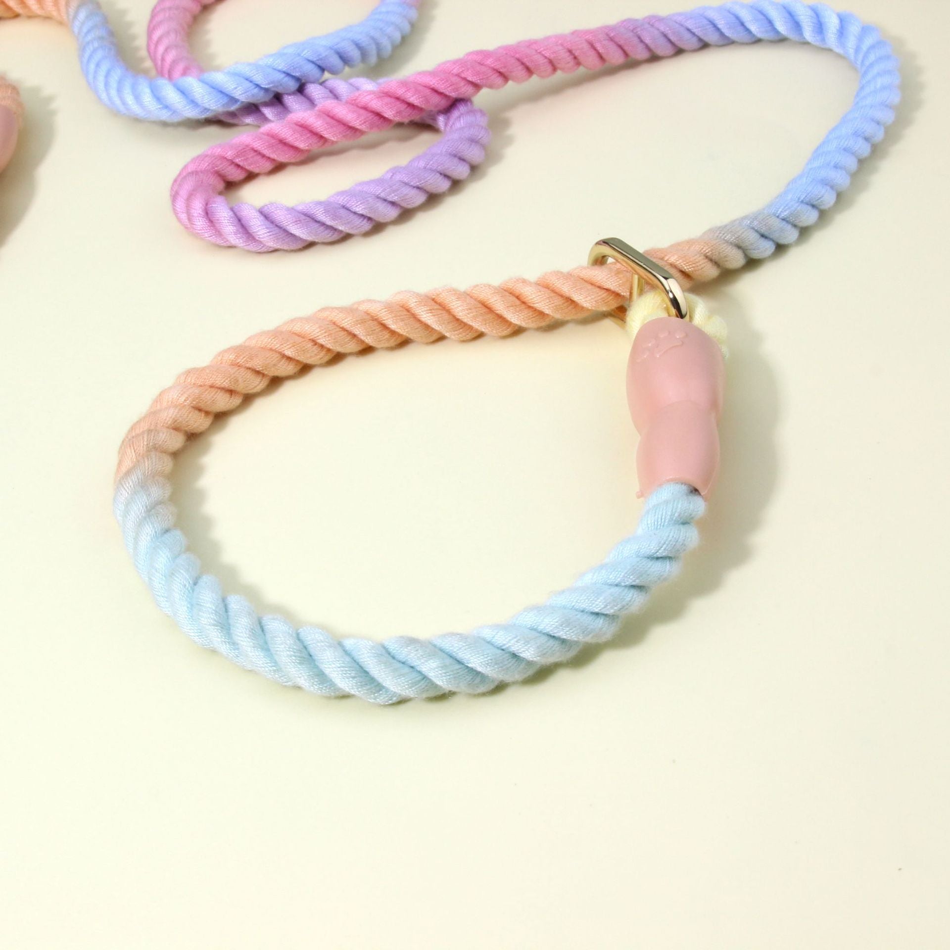 Colorful Vibrant Rainbow Ombre Rope Dog Leash - Durable Nylon P-Chain Slip Lead for Small & Medium Breeds - view 3