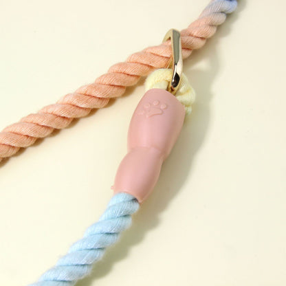 Colorful Vibrant Rainbow Ombre Rope Dog Leash - Durable Nylon P-Chain Slip Lead for Small & Medium Breeds - view 4