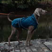 55# Blue Waterproof Reflective Dog Raincoat for Small to Large Dogs