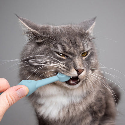 6 x Silicone Pet Toothbrush (3 Fish shape and 3 Bone shape) Blue Gentle Food-Grade Silicone Pet Toothbrush - Promotes Healthy Teeth & Gums for Dogs & Cats - view 7