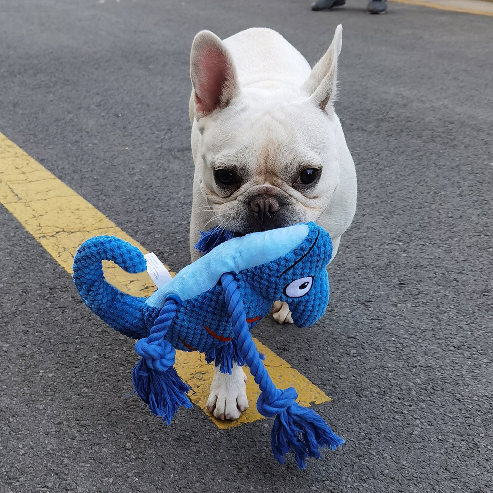 2 Pcs Red Interactive Plush Chameleon Dog Toy with Squeaker & Rope Legs - Durable Chew Toy for Medium/Large Dogs, Teeth Cleaning Texture, Machine Washable (10.2in) - view 6