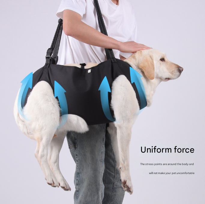Green Pet Support Harness for Senior and Disabled Dogs - Adjustable Chest and Back Support Leash(Size M) - view 2