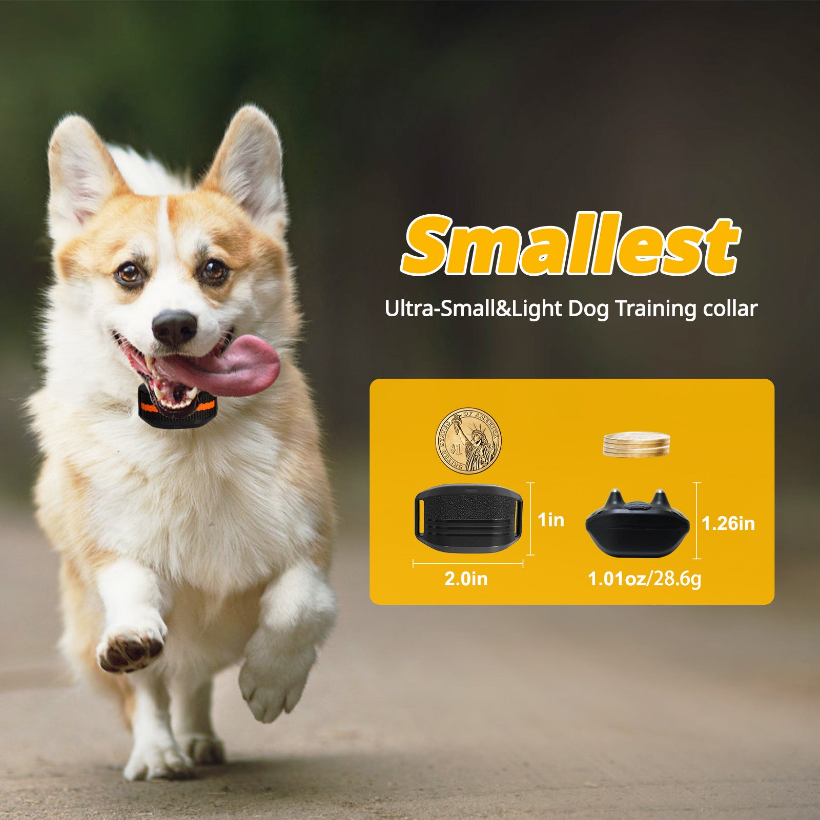 Ultra-Small & Lightweight Dog Training Collar with Remote - 3 Modes, Adjustable Levels, Fits All Sizes(black) - view 2