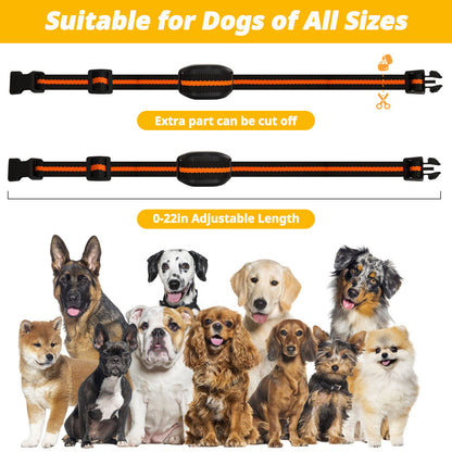 Ultra-Small & Lightweight Dog Training Collar with Remote - 3 Modes, Adjustable Levels, Fits All Sizes(black) - view 5
