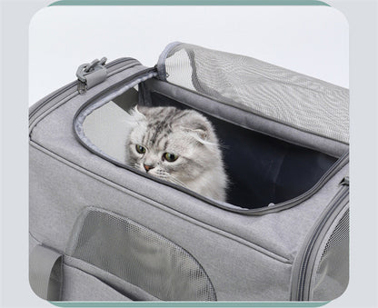 Foldable Soft-Sided Pet Carrier for Travel - Fits Cats & Small Dogs Under 6kg, with Removable Plush Bed & Shoulder Strap(black) - view 5