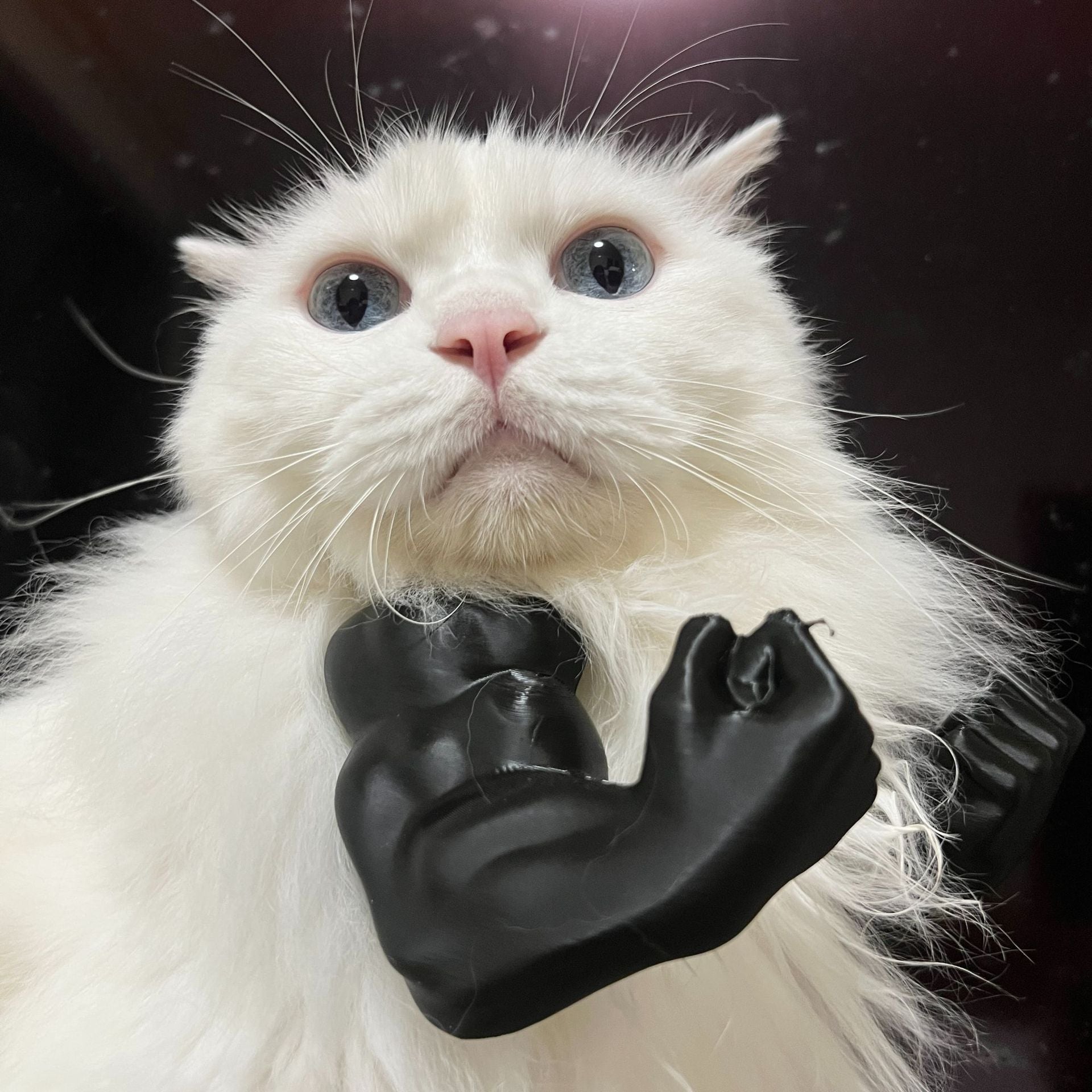 2pc Hilarious Muscle Arm Pet Costume Prop - Funny Novelty Arms for Cats & Small Dogs(black) - view 8