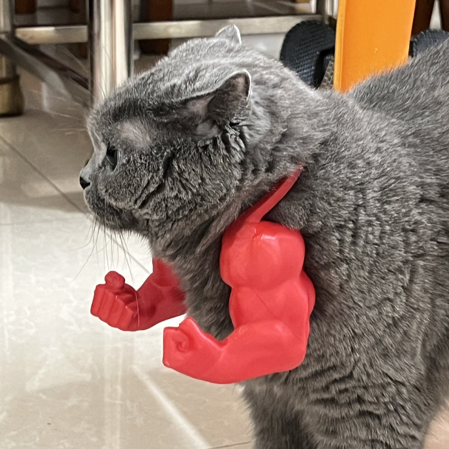 2pc Hilarious Muscle Arm Pet Costume Prop - Funny Novelty Arms for Cats & Small Dogs(blue) - view 9