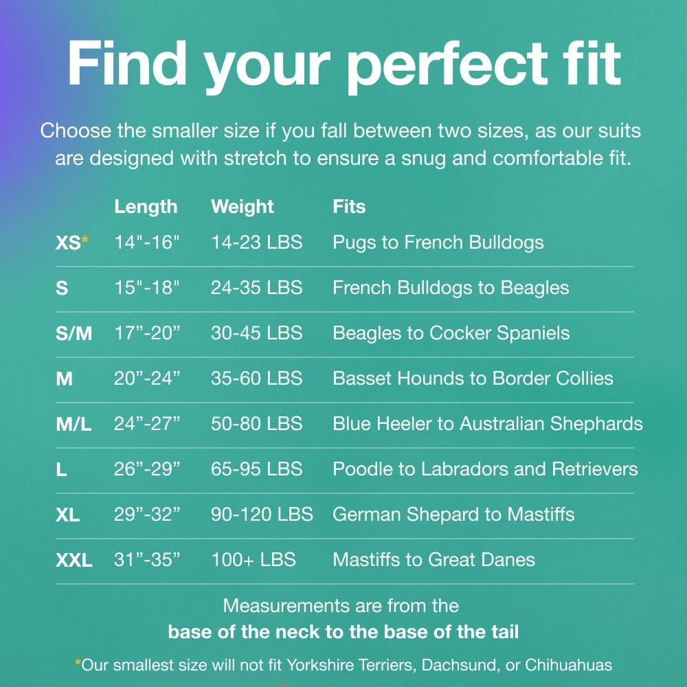 XL Blue Premium Pet Physiological Suit - Comfortable & Breathable Bamboo Modal Recovery Suit - view 3
