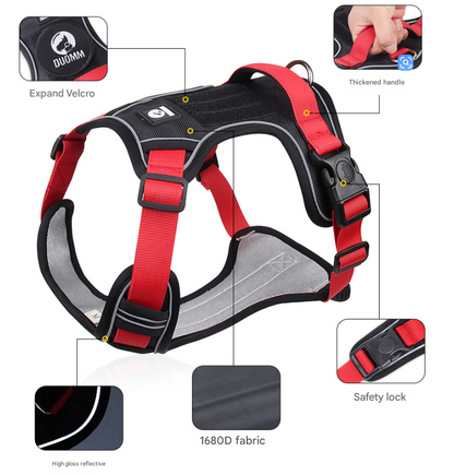 Blue L Adjustable No-Pull Dog Harness and Leash Set - Reflective & Padded Vest for Medium to Large Dogs - view 4