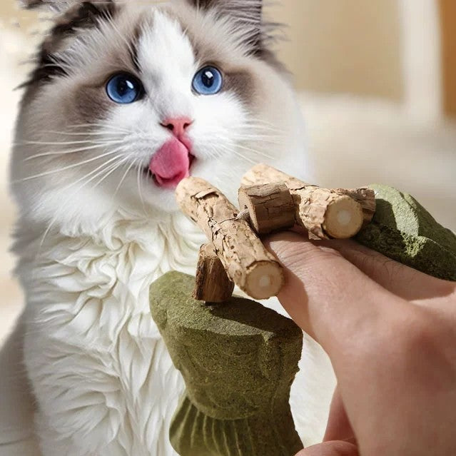 Brown and green 5 Pack Cat Catnip Toys Fish Bone Shaped Silvervine Chew Sticks for Teeth Cleaning and Interactive Play - view 3