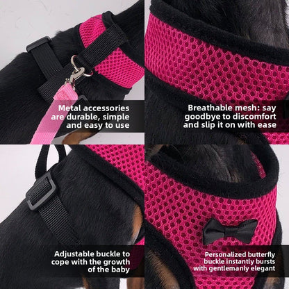 2-Pcs Pink Adjustable Pet Harness with Leash – Breathable Mesh Design for Small Dogs, Cats, Chickens, Ducks & More | Anti-Escape, 360° Support, Lightweight & Comfortable in Australia(Size:XL) - view 5
